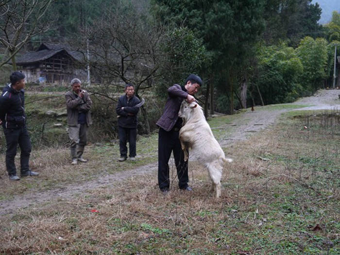九龍地礦公司扶貧蹲點(diǎn)回訪(fǎng)紀實(shí)