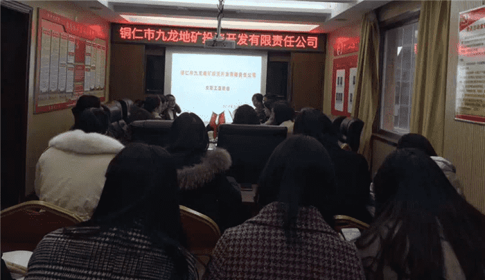九龍地礦公司婦聯(lián)召開(kāi)“我愛(ài)我家”座談會(huì )