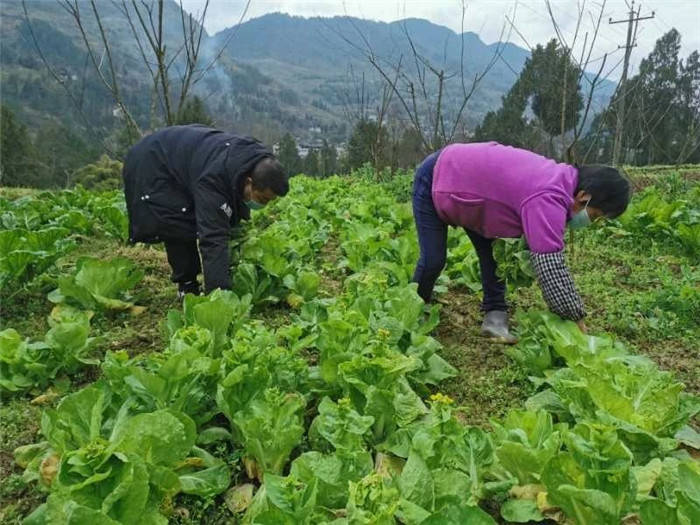用心戰“疫” 助力防疫一線(xiàn)