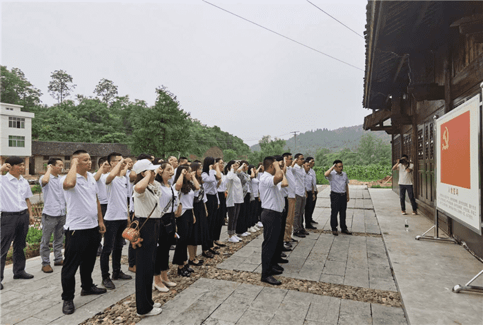 公司開(kāi)展“支部聯(lián)建謀奮進(jìn)，產(chǎn)業(yè)互鑒促發(fā)展”主題黨日活動(dòng)